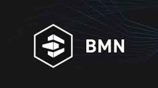 BMN1 logo